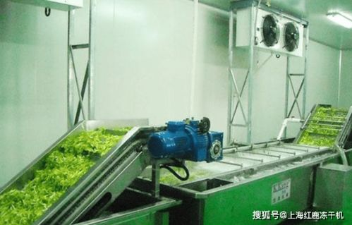 生产冻干食品需要的设备,食品冻干技术